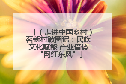 （走进中国乡村）茗新村破圈记：民族文化赋能 产业借势 “网红东风”