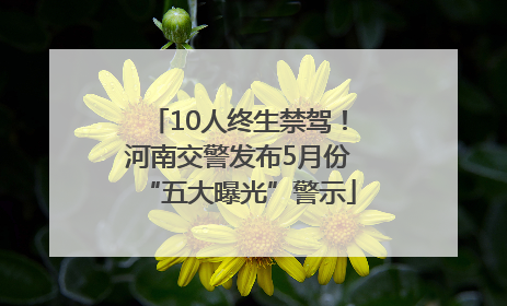 10人终生禁驾！河南交警发布5月份“五大曝光”警示