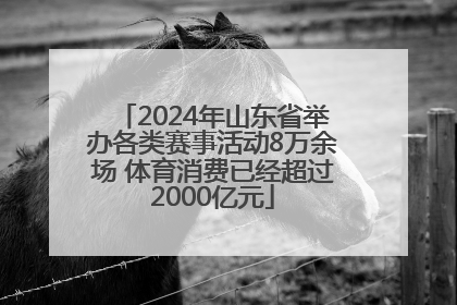 2024年山东省举办各类赛事活动8万余场 体育消费已经超过2000亿元