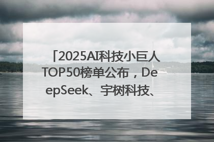 2025AI科技小巨人TOP50榜单公布，DeepSeek、宇树科技、蘑菇车联等企业荣誉上榜