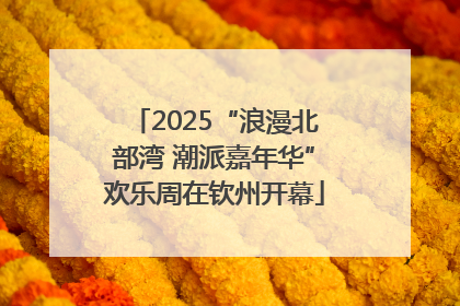 2025“浪漫北部湾 潮派嘉年华”欢乐周在钦州开幕
