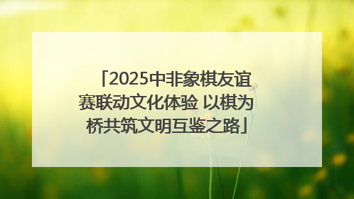 2025中非象棋友谊赛联动文化体验 以棋为桥共筑文明互鉴之路
