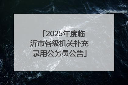 2025年度临沂市各级机关补充录用公务员公告