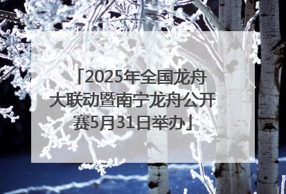 2025年全国龙舟大联动暨南宁龙舟公开赛5月31日举办