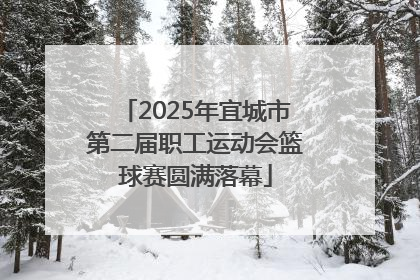 2025年宜城市第二届职工运动会篮球赛圆满落幕