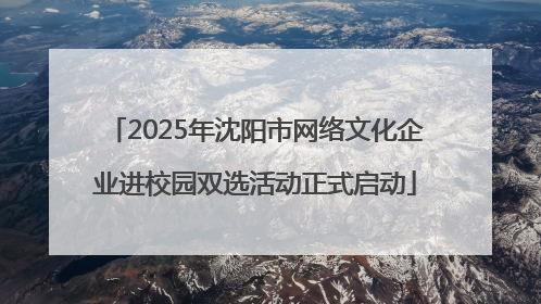 2025年沈阳市网络文化企业进校园双选活动正式启动