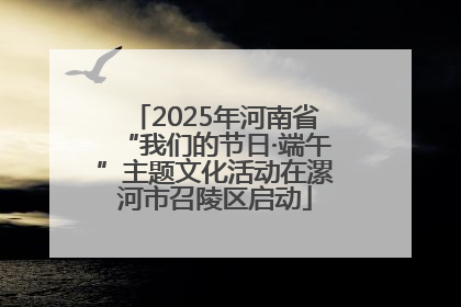 2025年河南省“我们的节日·端午”主题文化活动在漯河市召陵区启动