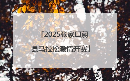 2025张家口蔚县马拉松激情开赛