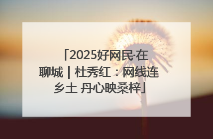 2025好网民·在聊城｜杜秀红：网线连乡土 丹心映桑梓