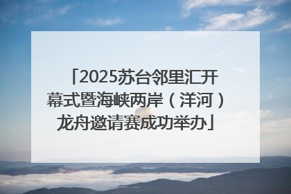 2025苏台邻里汇开幕式暨海峡两岸（洋河）龙舟邀请赛成功举办