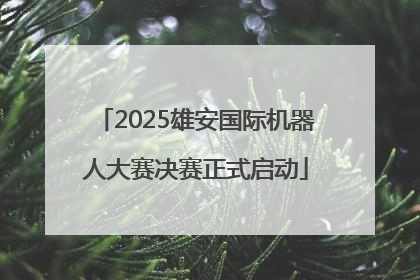 2025雄安国际机器人大赛决赛正式启动