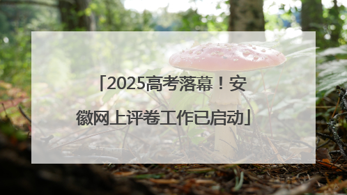 2025高考落幕！安徽网上评卷工作已启动