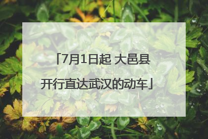 7月1日起 大邑县开行直达武汉的动车