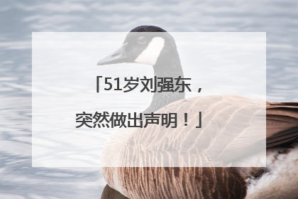 51岁刘强东，突然做出声明！