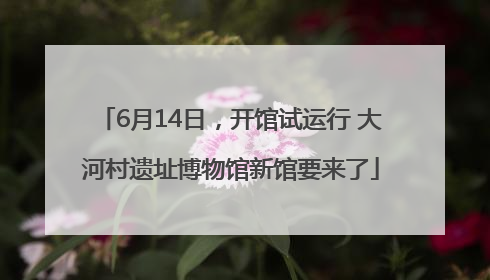 6月14日，开馆试运行 大河村遗址博物馆新馆要来了
