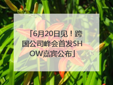 6月20日见！跨国公司峰会首发SHOW嘉宾公布