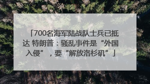 700名海军陆战队士兵已抵达 特朗普：骚乱事件是“外国入侵”，要“解放洛杉矶”