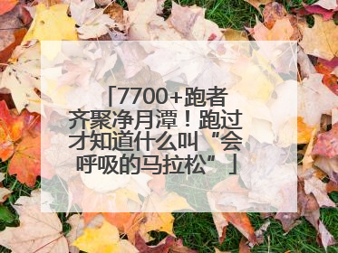 7700+跑者齐聚净月潭！跑过才知道什么叫“会呼吸的马拉松”