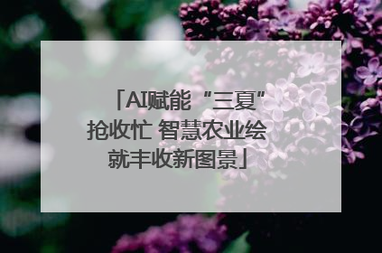 AI赋能“三夏”抢收忙 智慧农业绘就丰收新图景