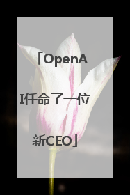 OpenAI任命了一位新CEO