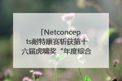 Netconcepts耐特康赛斩获第十六届虎啸奖“年度综合服务商”大奖