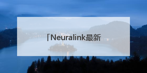 Neuralink最新“黑科技”：脑机接口可让猴子看见不存在的物体