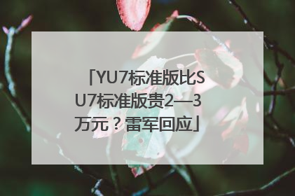 YU7标准版比SU7标准版贵2—3万元？雷军回应